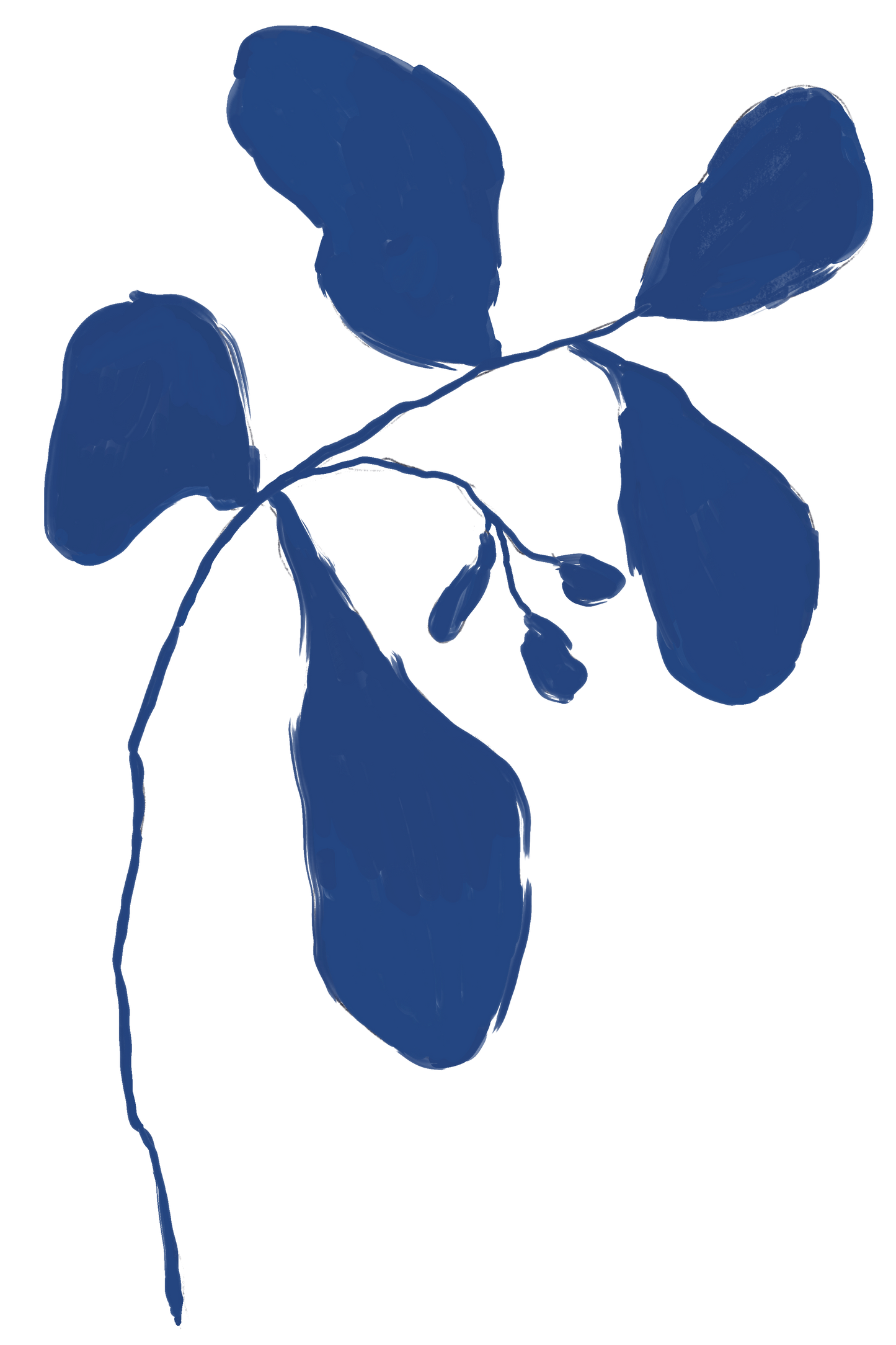 Flower buds | Art Print | Mieke Herregodts