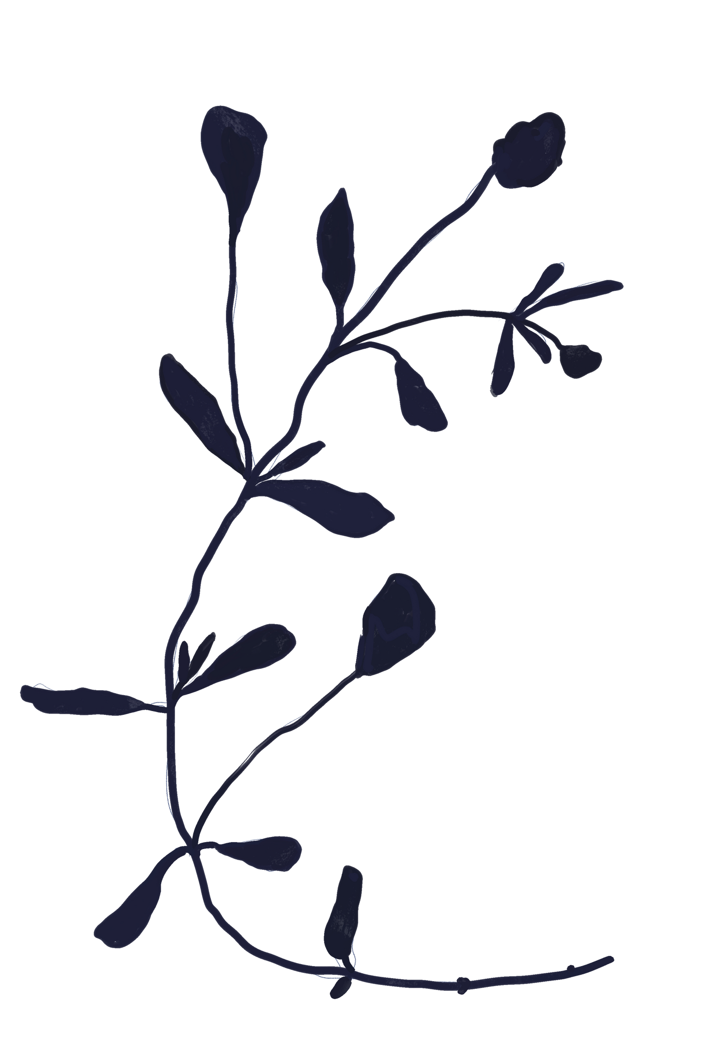 Twig | Art Print | Mieke Herregodts