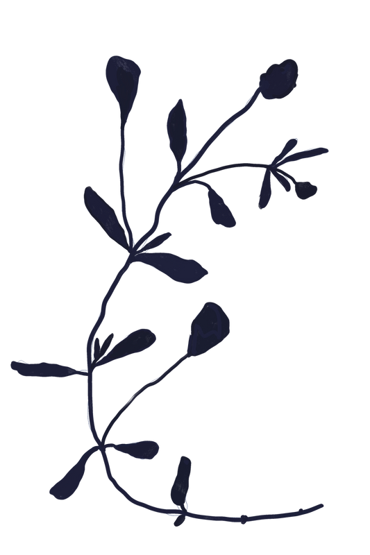 Twig | Art Print | Mieke Herregodts