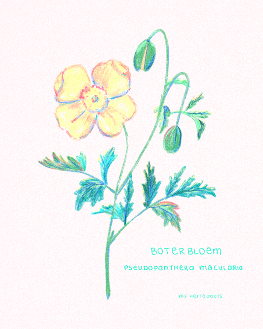 Boterbloem Kunstprint